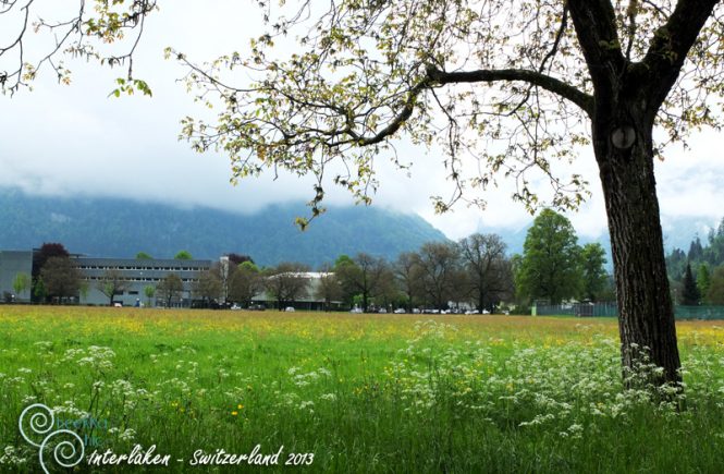 Europe - Trip - Switzerland - Interlaken