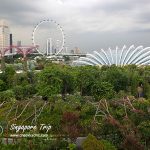 Singapore - Trip