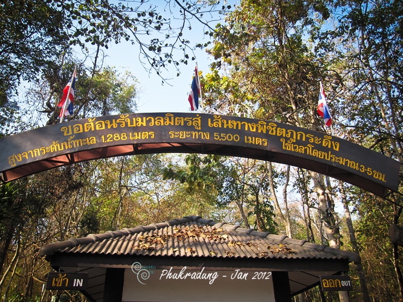 Thailand - Phugradeung - Trip